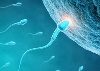 ببینید| یک نکته کمتر گفته شده درباره ناباروری که به مردان مربوط است