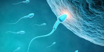 ببینید| یک نکته کمتر گفته شده درباره ناباروری که به مردان مربوط است