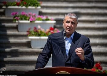 Bombs Won’t End Iran’s Nuclear Industry: Eslami