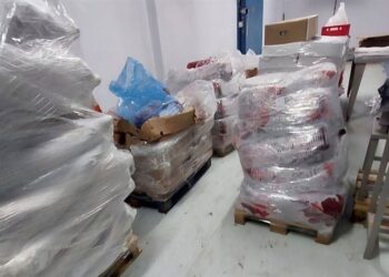 Massive Meat Spoilage in Israeli Cold Storage after Mysterious Technical Failure