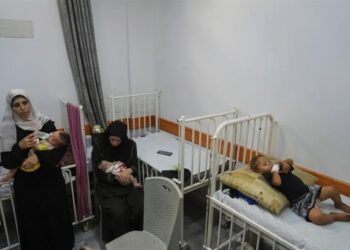 Iran Slams US-Israel Over UN Food Rights Rejection