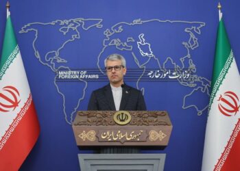 Foreign Ministry spokesperson: Germany should be made accountable for acting as ‘an accomplice’ in Israel’s crimes