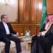 Foreign Minister meets Saudi crown prince to discuss regional stability