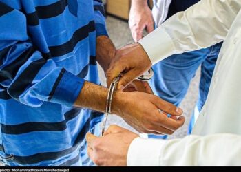 Mossad Spy, Daesh Member Executed in Iran