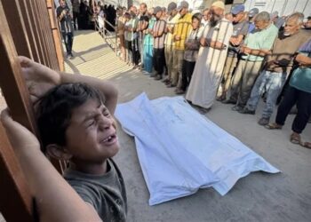 Concrete Action Needed to Stop Gaza Tragedy: Iranian Spokesman