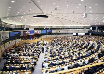 EU Lawmakers Urge Action to Halt Israeli Atrocities in Gaza