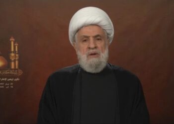 Hezbollah Won&apos;t Surrender Arms: Sheikh Qassem