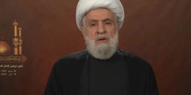 Hezbollah Won't Surrender Arms: Sheikh Qassem