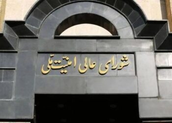 EU3 Measures Effectively Suspend Path of Iran’s Cooperation with IAEA: SNSC