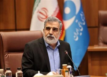 Iran Plans New Nuclear Power Plants in South With Russian Cooperation