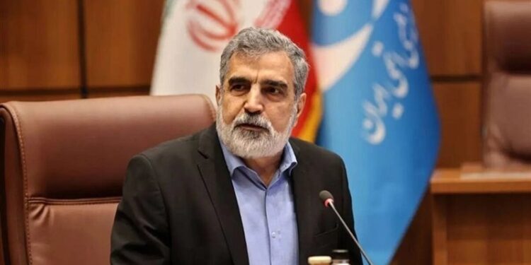 Iran Plans New Nuclear Power Plants in South With Russian Cooperation