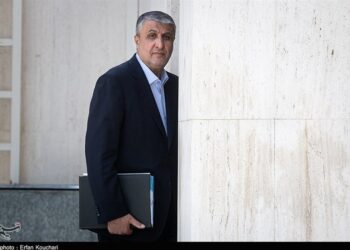 Interaction with IAEA in Conformity with Iran’s Parliamentary Law: Nuclear Chief