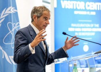 Grossi Says Talks With Iran and Other Parties on Nuclear Issue Continue